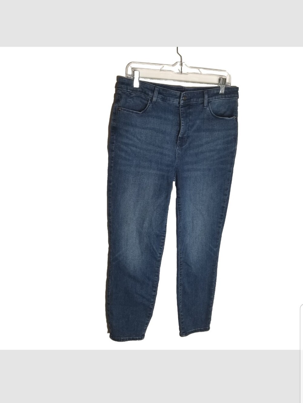 Talbots Crop Jegging Jeans Women's Size 10 High Rise Stretch Blue Denim